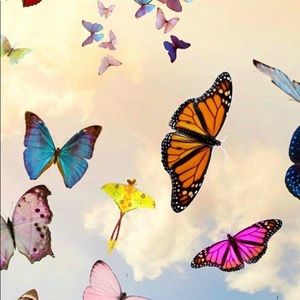 Meet your Posher, Brianna